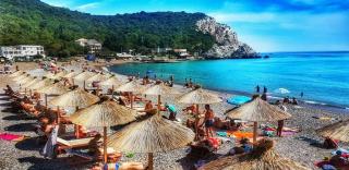Galeb