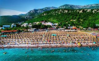 Galeb