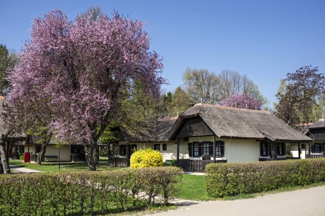Bungalovy TERMAL, Moravske Toplice
