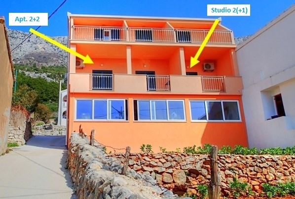 Galeb