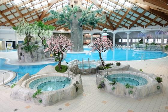Hotel TERME, Čatež