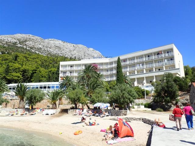 Orsan Hotel by Aminess, Orebić - pláž