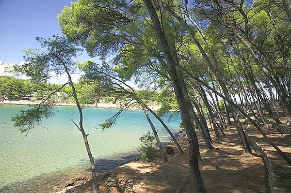 Apartmány BAYSIDE PARK/FONTANA RESORT, Jelsa