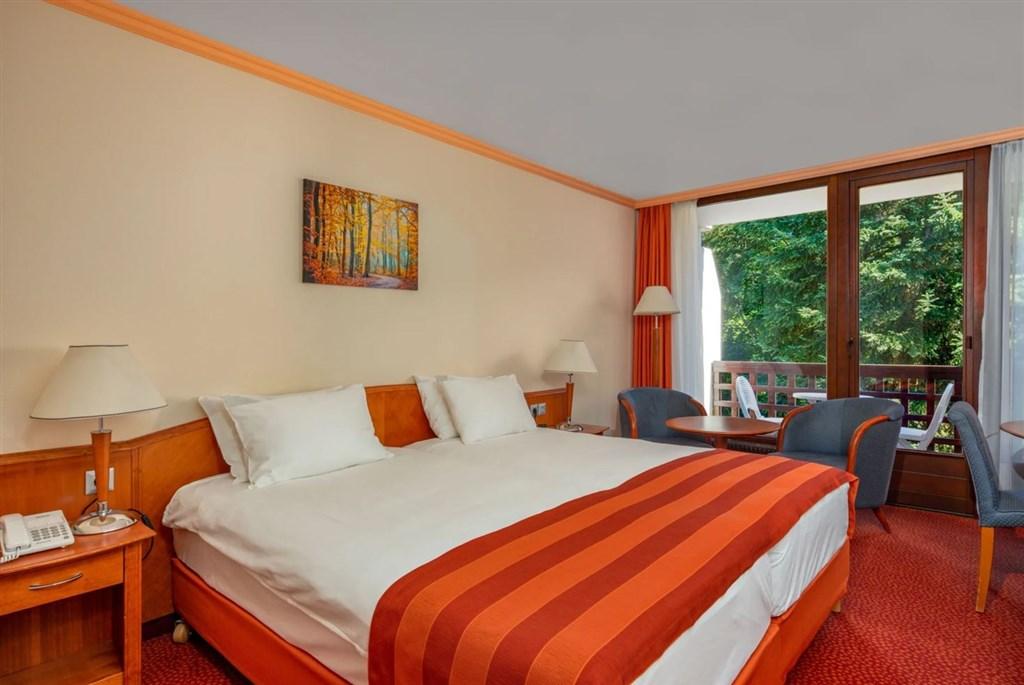 Ensana Thermal SÁRVÁR Health Spa Hotel, Maďarsko - Zadunajsko -