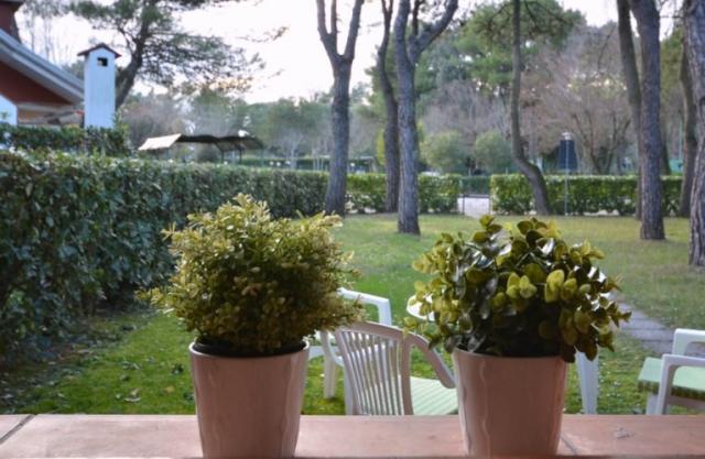 Villaggio delle MEDUSE, Bibione