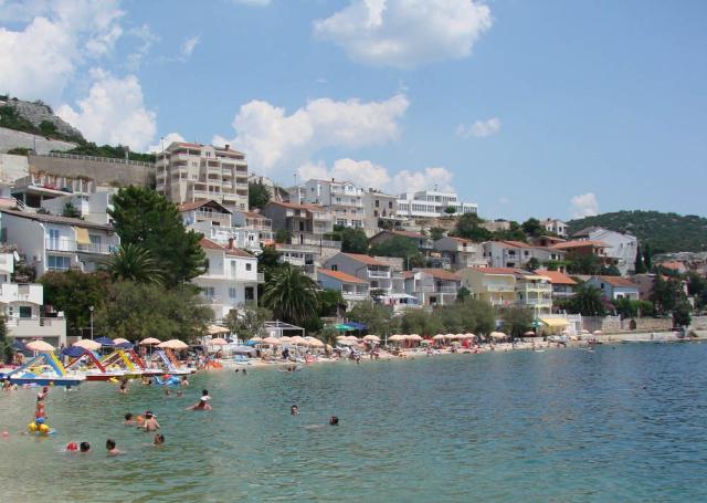 Agava