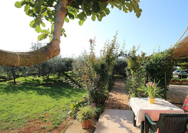 Apartmány ALMA, Chorvátsko - Istria - Novigrad, zobrazenie vyba