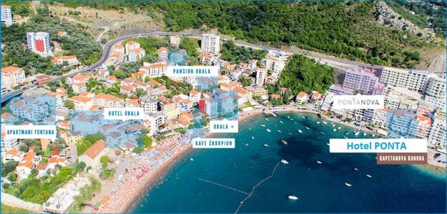 Ponta Nova