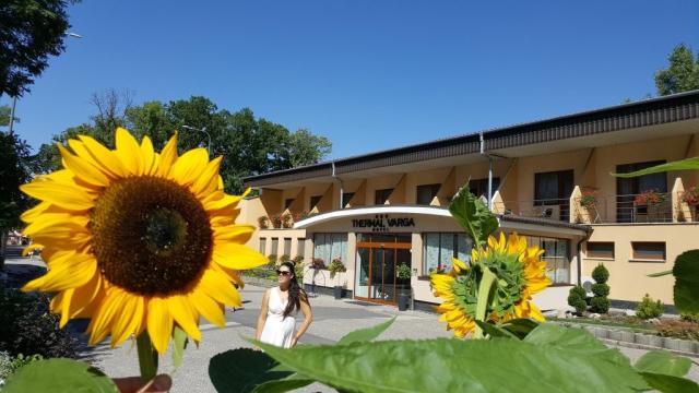 Hotel THERMAL VARGA a AQUA, Slovensko - Jižní Slovensko - Velký