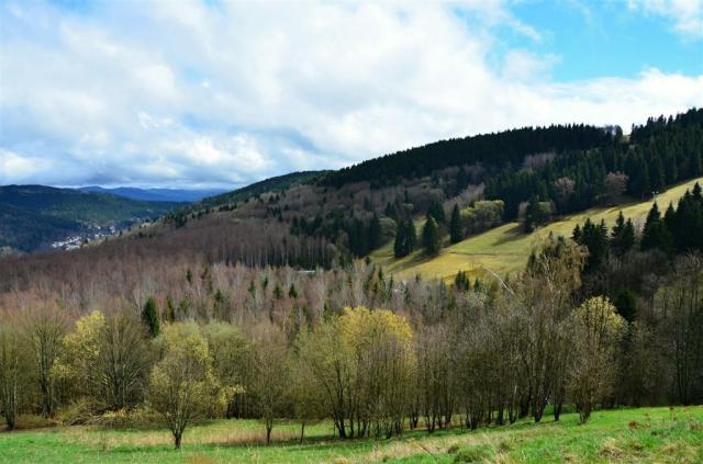 Pytloun Wellness Hotel Hasištejn, Česko - Ústecký kraj - Místo,