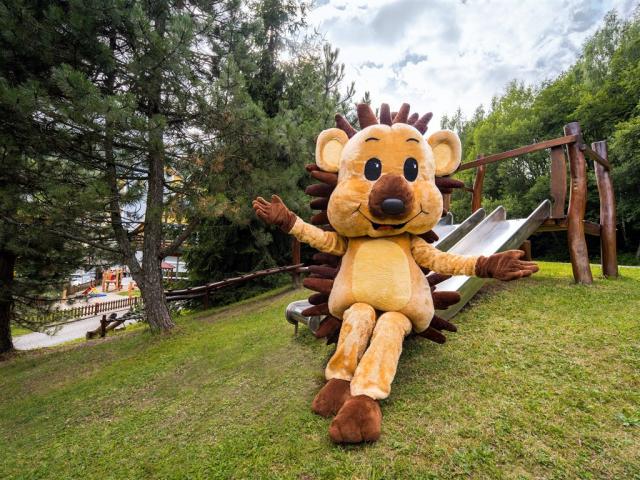 PINIA HOTEL & RESORT, Česko - Krkonoše - Špindlerův Mlýn, zobra