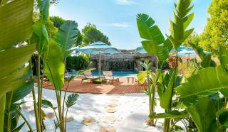 Regnum Carya