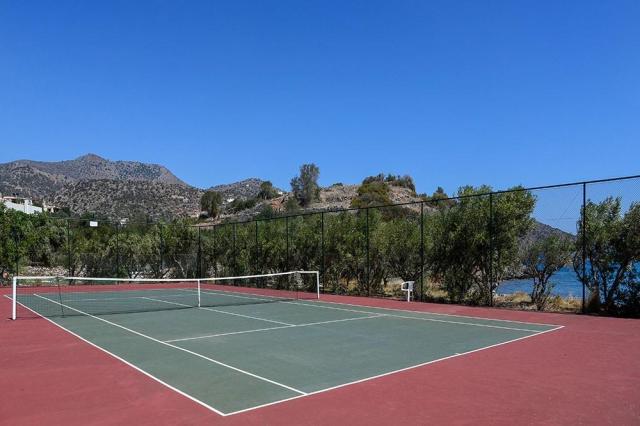 tenis