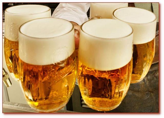 budvar