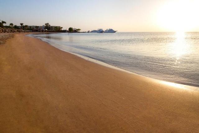 Paradise Abu Soma