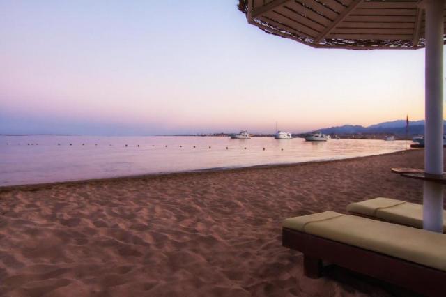 Paradise Abu Soma