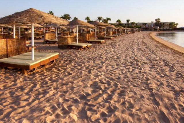 Paradise Abu Soma