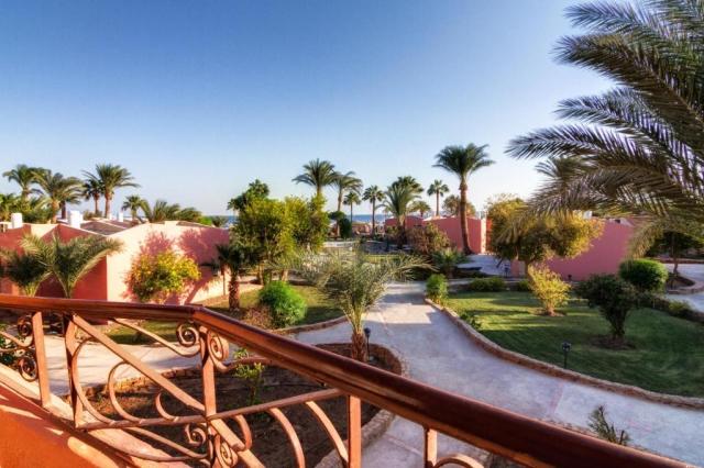 Paradise Abu Soma