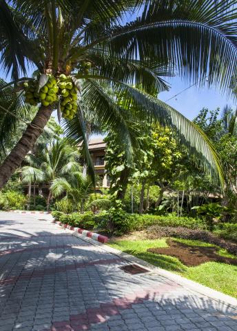 Kombinace - Fair House Beach Resort ****, Bangkok Palace Hotel 