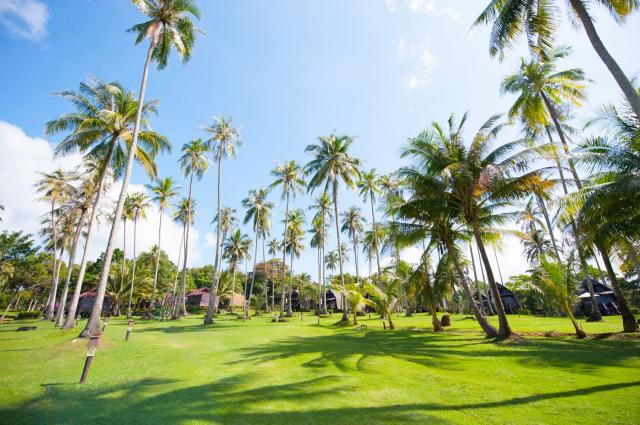 Kombinace - Ko Kood Beach Resort ***, Ko Kood, Sunshine Garden 