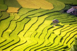 Hory a ostrovy Severného Vietnamu