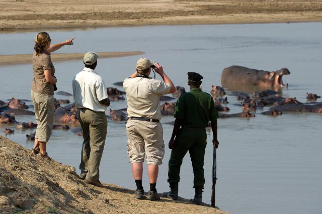 Zambia - Malawi