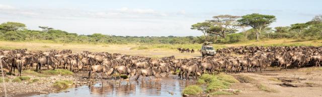 Keňa - Tanzánia - To najlepšie z východnej Afriky