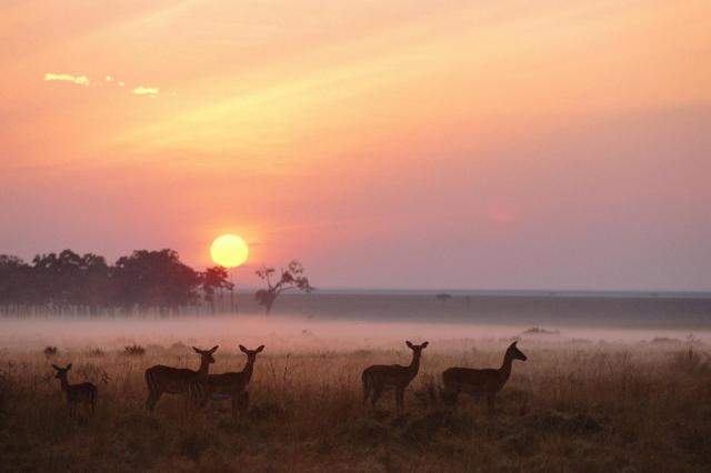 Keňa - z Nairobi do Mombasy národnými parkami