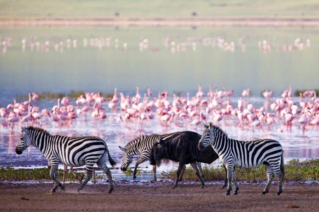 Keňa - z Nairobi do Mombasy národnými parkami
