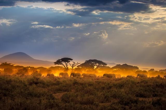 Keňa - z Nairobi do Mombasy národnými parkami