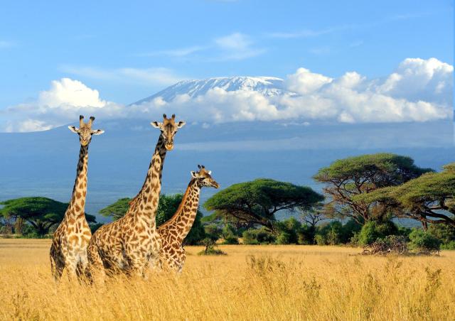 Keňa - z Nairobi do Mombasy národnými parkami