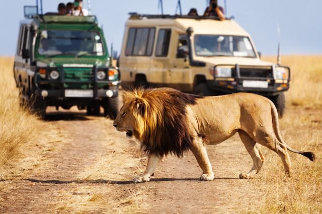Keňa - z Nairobi do Mombasy národnými parkami