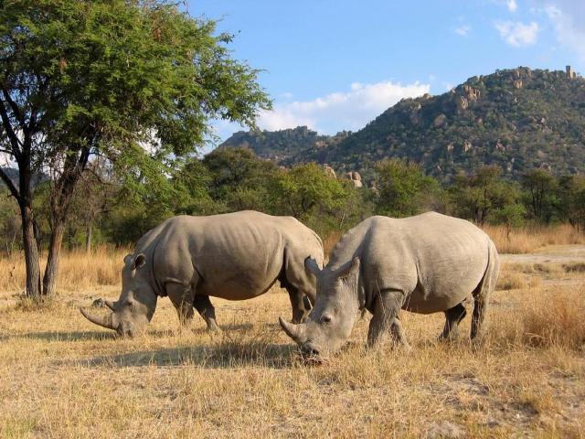Zimbabwe - po stopách Emila Holuba