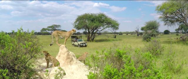 Zimbabwe - po stopách Emila Holuba