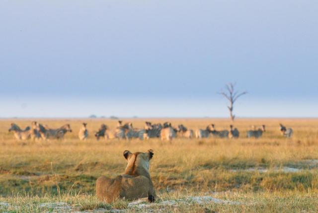 Z Victoria Falls do Kapského Mesta