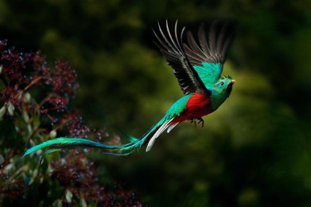 Nikaragua - Kostarika - Panama