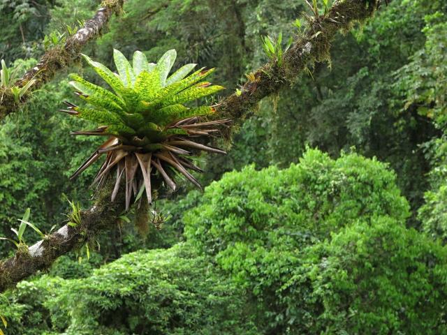 Nikaragua - Kostarika - Panama