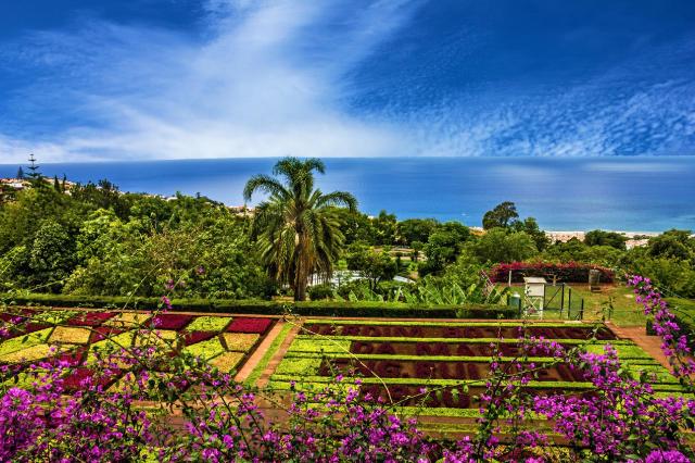 Madeira za poznaním