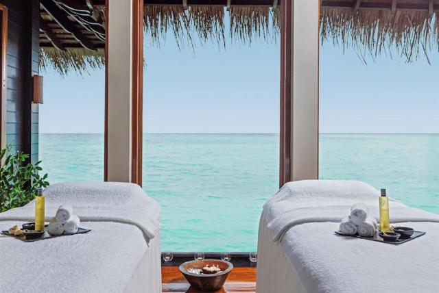 Wellness
