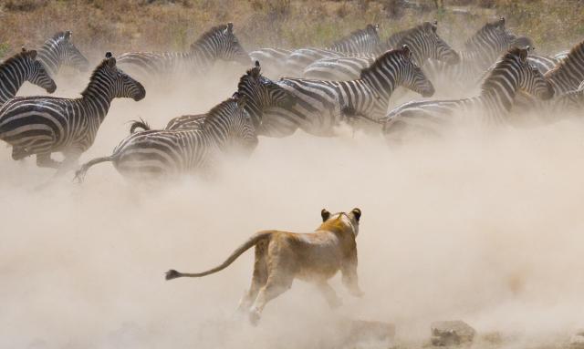 Rwanda a Tanzánia