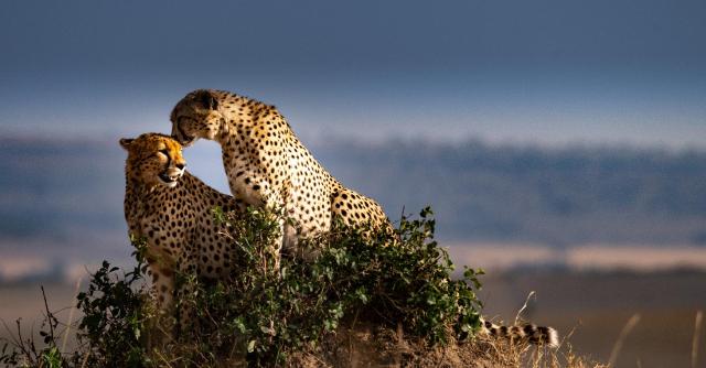 Rwanda a Tanzánia