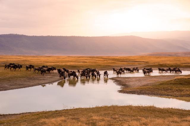 Rwanda a Tanzánia