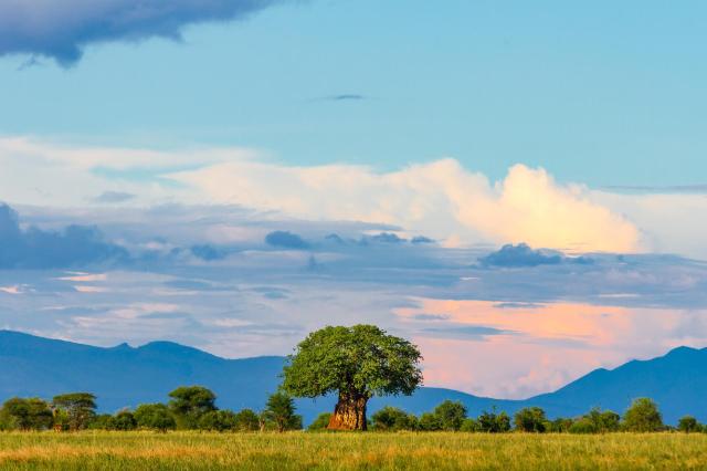 Rwanda a Tanzánia