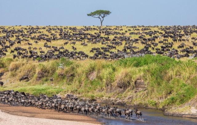 Rwanda a Tanzánia