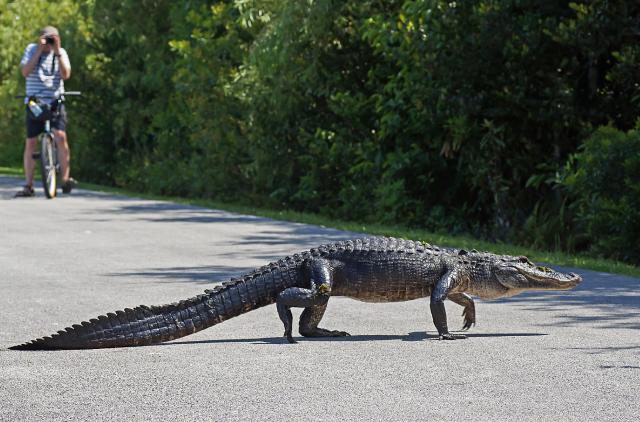 FLORIDA: štátom slnka a pláží