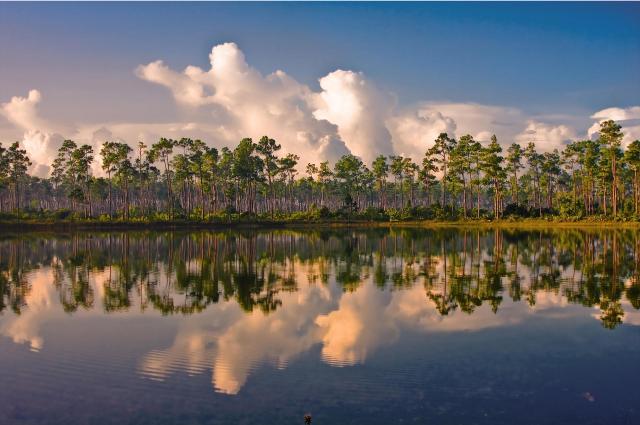 FLORIDA: štátom slnka a pláží