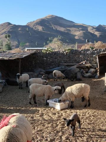 Peru - za tajomstvom Inkov II