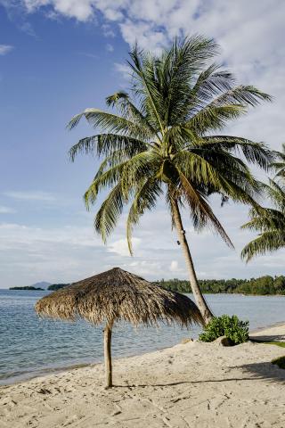 Kombinace - Seavana Beach Resort ****, Koh Mak, Ko Kood Beach R