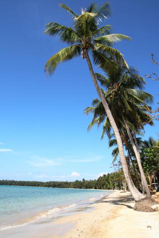 Kombinace - Seavana Beach Resort ****, Koh Mak, Ko Kood Beach R