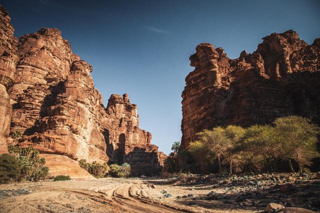 Saudská Arábia - Bahrajn